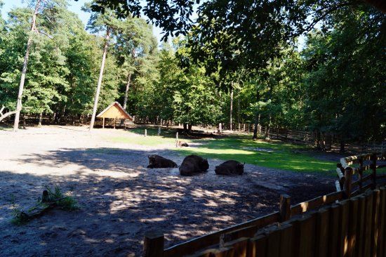 Hiking w Wolińskim Parku Narodowym
